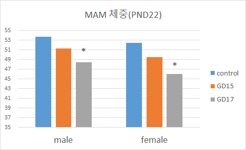 MAM 투여군 PND 22일째의 체중