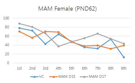 MAM 투여군 암컷 PND 62일째의 수미로시험 결과