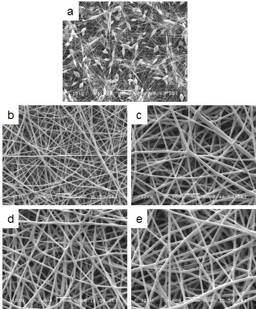 SEM image of electrospun PLGA nanofiber