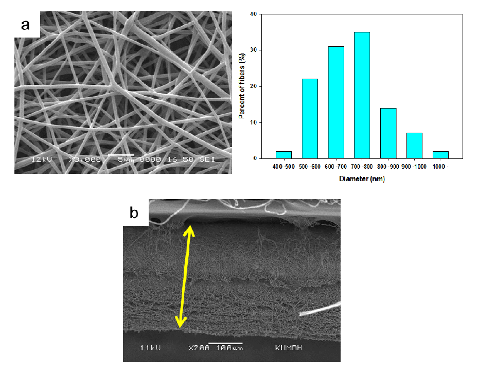 SEM images of a) electrospun PLGA nanofiber with distribution of fiber diameters and b) cross section.