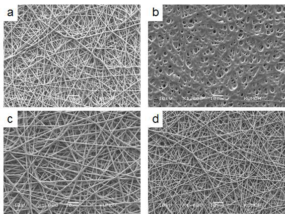 SEM image of e-beam irradiated nanofiber