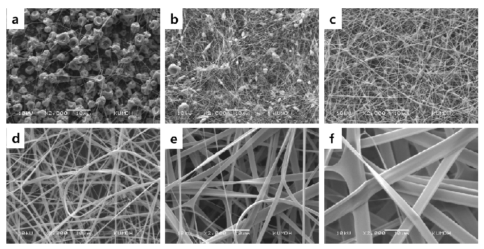 SEM image of electrospun Gelatin nanofibers