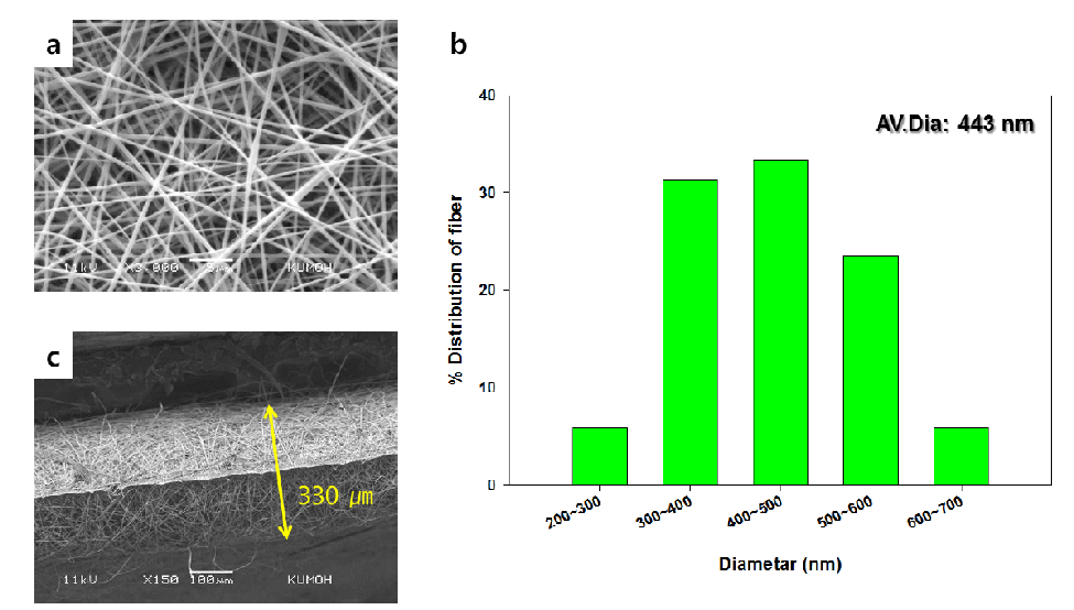 SEM images of a) electrospun Gelatin nanofibers (x3000) with b) distribution of fiber diameters and b) cross section.