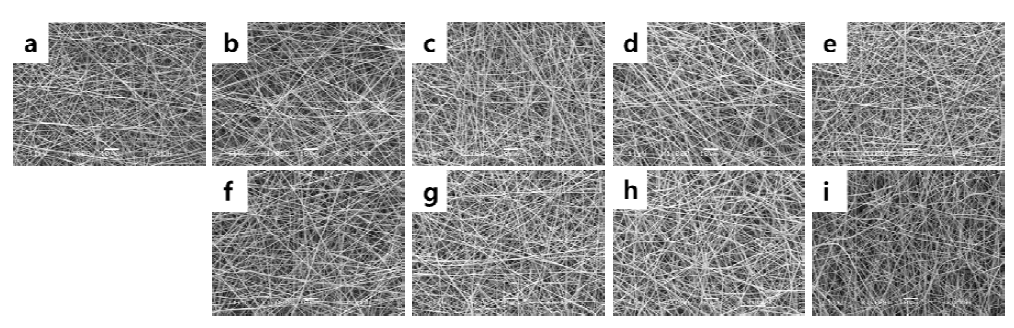 SEM image of e-beam irradiated gelatin nanofibers in the air condition