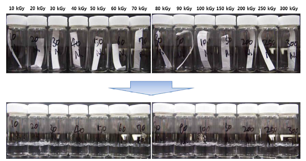 Water solubility test of electrospun gelatin nanofibers after e-beam irradiation in the N2