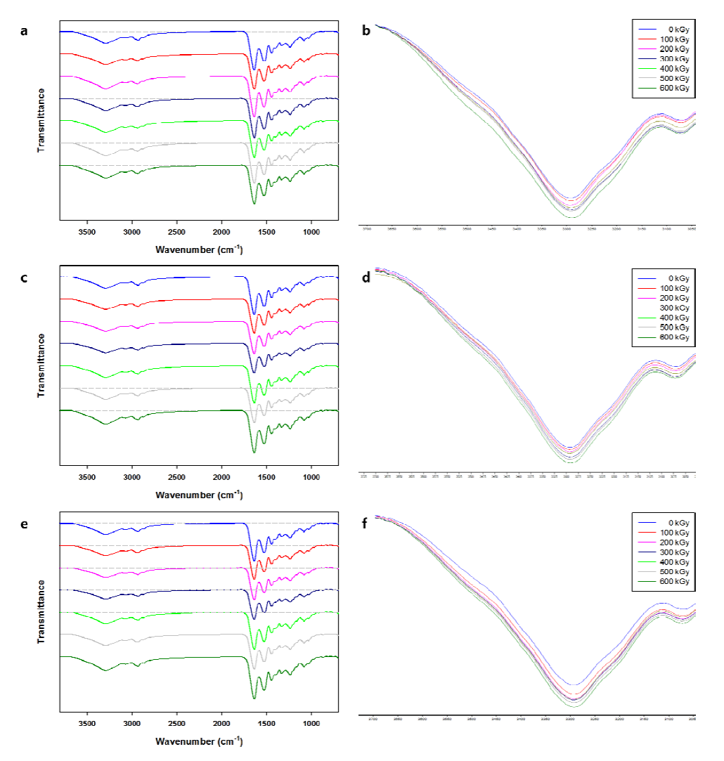 ATR-FTIR spectra for each e-beam irradiated (0-600 kGy) gelatin nanofibers