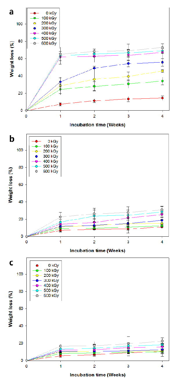 Weight loss of e-beam irradiated gelatin nanofiber as a function of incubation period in PBS for 4 weeks