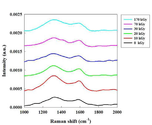 전자빔 조사선량에 따른 탄소나노섬유의 Raman spectra 패턴.