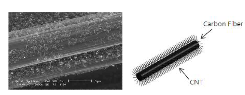 CNT가 그라프트 된 탄소섬유.