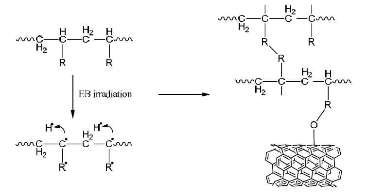 Polymer grafting to CNT through E-beam irradiation.