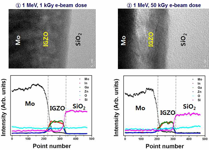 ① 1 MeV, 1 kGy, ② 1 MeV, 10 kGy 조사된 IGZO 박막의 EDS element mapping