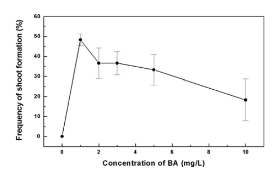 Effect of BA on shoot development from cell aggregates of Typha laxmanni L.