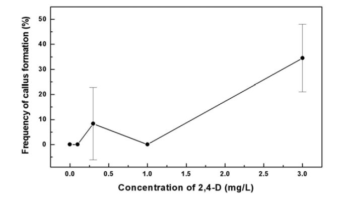 Effect of 2,4-D on callus formation of Typha angustifolia L. Each treatment consisted of 20 explants with three replicates.