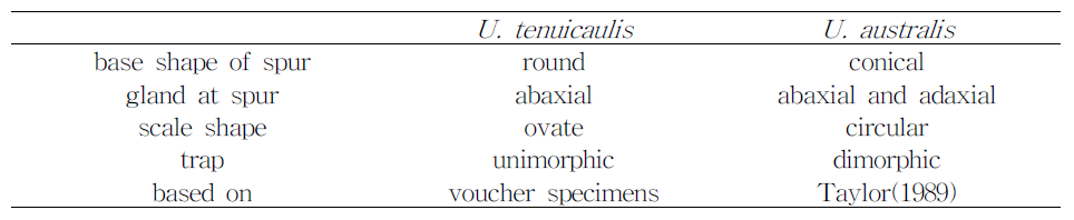 참통발(U. tenuicualis)와 U. australis의 식별형질 비교