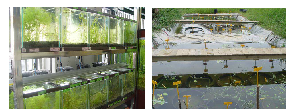아주대 실험실 내 수생식물 식재용 수조와 연못