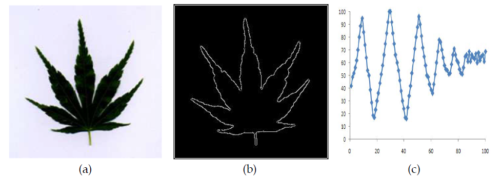 (a) 원본 잎 이미지(b) Canny Edge Detection 알고리즘을 적용하여 외곽선을 검출한 이미지(c) 검출된 외곽선과 중심점과의 거리를 외곽선을 1회전하며 구한 거리의 곡선