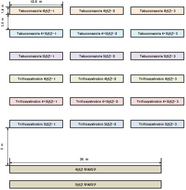 인삼에 대한 tebuconazole과 trifloxystrobin의 포장 시험 배치도(2013-2014)