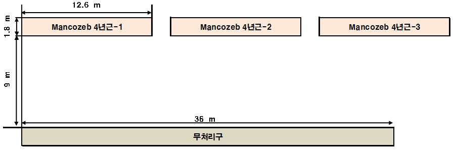 인삼 중 mancozeb의 가공 시험을 위한 포장 배치도