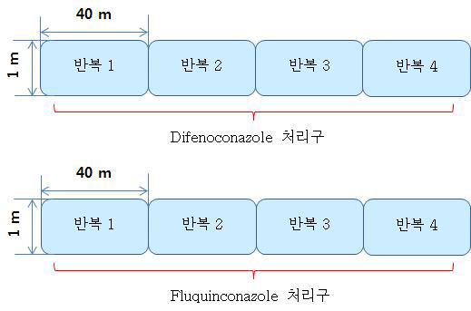 파프리카 중 difenoconazole 및 fluquinconazole의 포장 배치도
