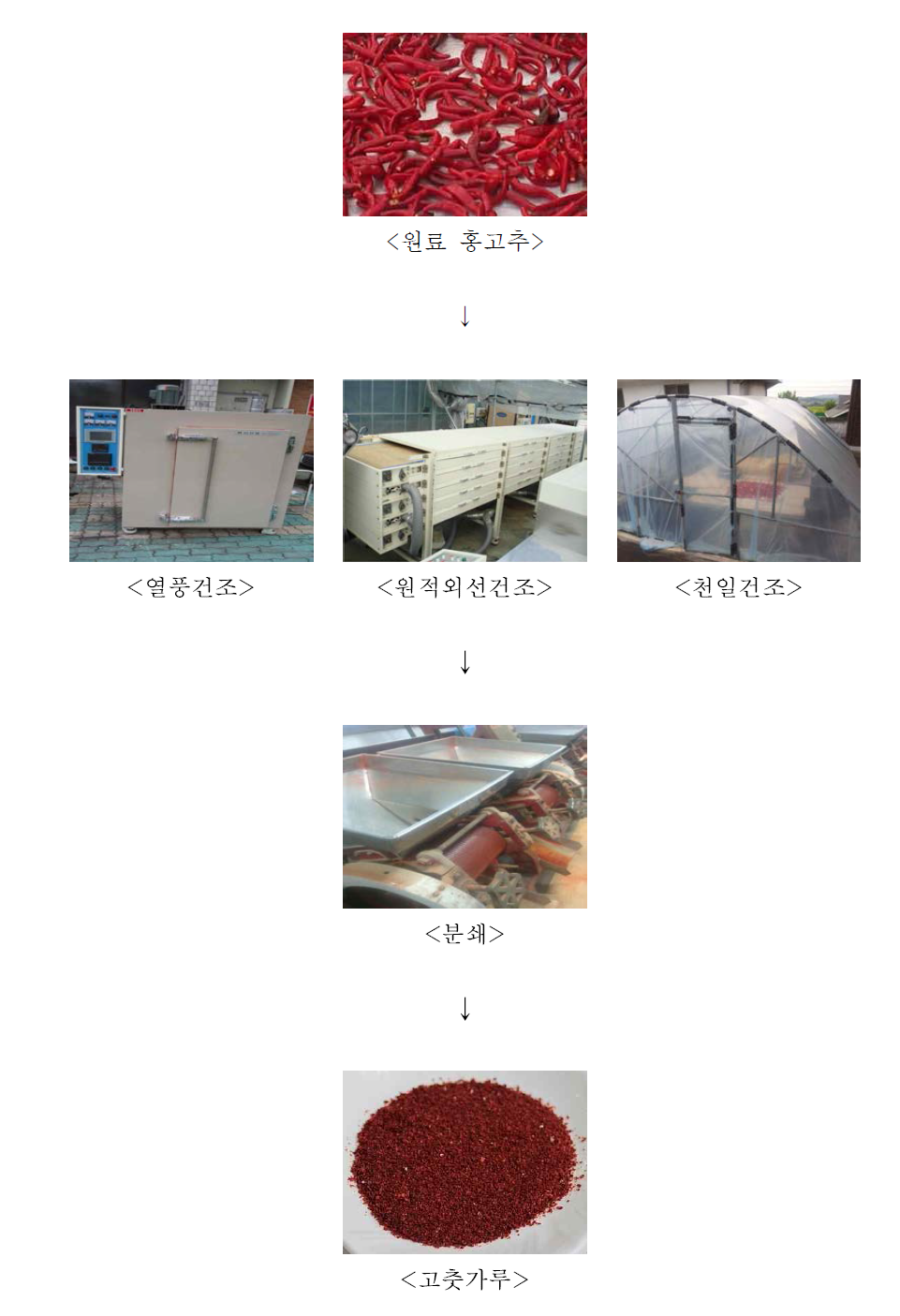 고춧가루 제조 공정