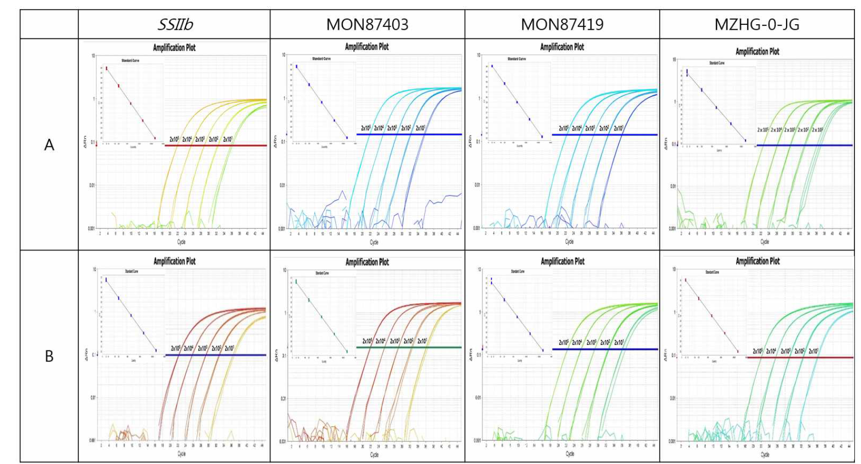 유전자변형 옥수수 9종에 대한 Real-time PCR의 Amplification Plot과 Standard Curve (pUC-GM maize_E)