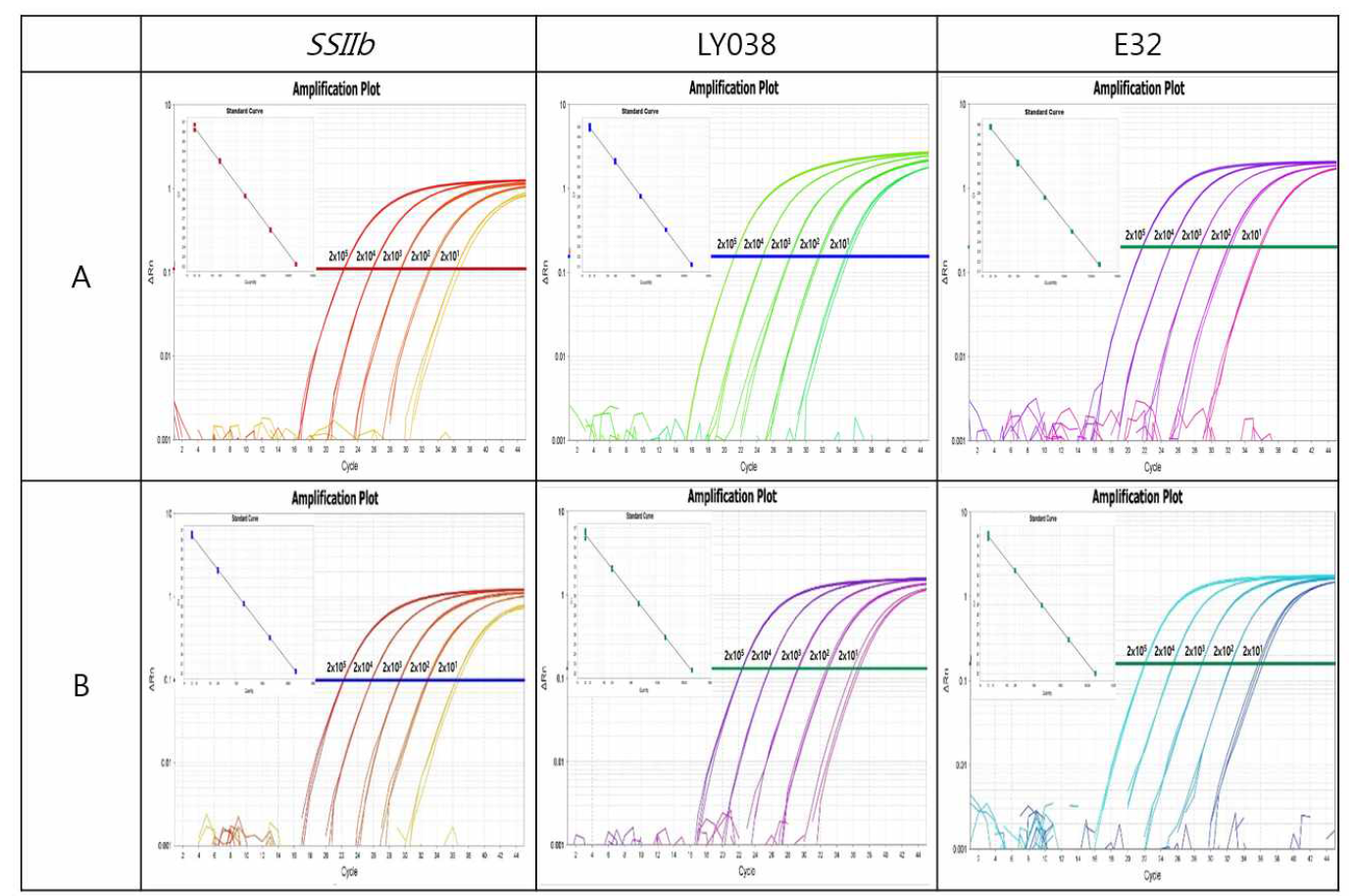 유전자변형 옥수수 9종에 대한 Real-time PCR의 Amplification Plot과 Standard Curve (pUC-GM maize_Qualitative F)