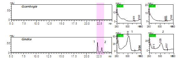 Trifluouoacetic acid 함유 이동상을 이용한 가르시니아 캄보지아, 가르시니아 인디카 에탄올(주정) 추출물의 HPLC 분석 결과 및 UV 스펙트럼.
