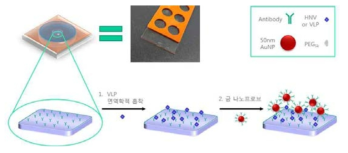 검지 플랫폼 모식도와 실제 검지 플랫폼(윗줄 가운데 사진)