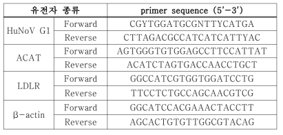 qRT-PCR에 사용한 Primer의 sequence