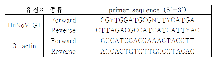 qRT-PCR에 사용한 Primer의 sequence