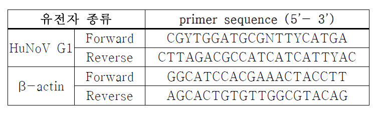 qRT-PCR에 사용한 Primer의 sequence