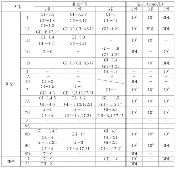 C해역의 검출된 노로바이러스 유전자형과 유전자 농도 (2016. 02. ~ 2016. 05.)