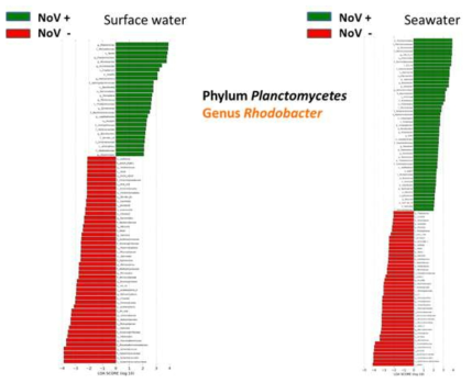 육상 유입수, 해수 노로바이러스 양성 결과와 세균간의 유의성 평가