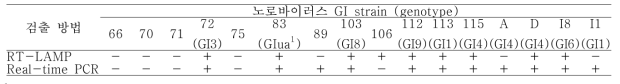 노로바이러스 GI 검출 결과