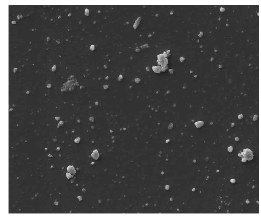 폴리카보네이트 여과지 식용유(6번) 잔류물의 실리카입자의 주사전자현미경 사진.
