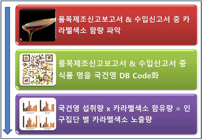 카라멜색소 섭취량 파악 과정