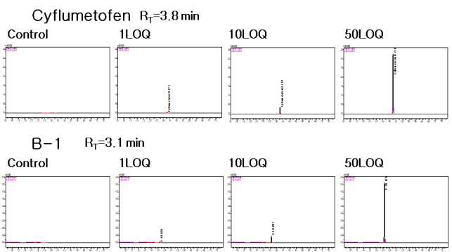 현미-Cyflumetofen 및 B-1 크로마토그램 (무처리, LOQ, 10 LOQ, 50 LOQ)