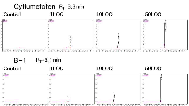 고추-Cyflumetofen 및 B-1 크로마토그램 (무처리, LOQ, 10 LOQ, 50 LOQ)