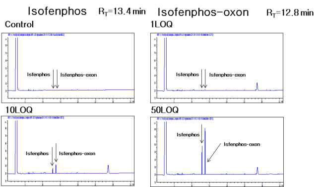 대두-Isofenphos 및 대사산물 크로마토그램 (무처리, LOQ, 10 LOQ, 50 LOQ)