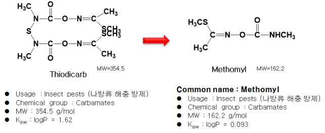 모화합물 및 대사산물 구조 및 특성