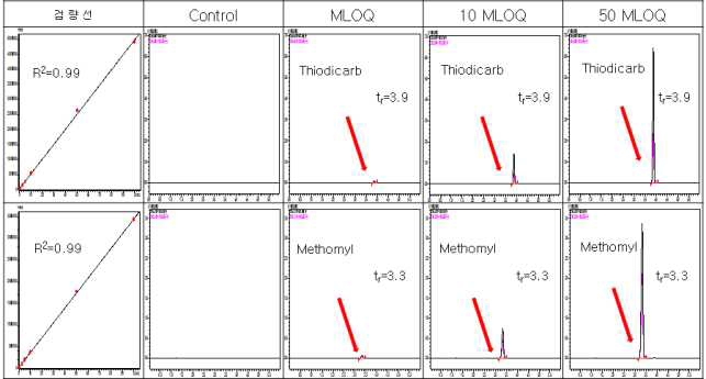 고추-Thiodicarb 및 methomyl 크로마토그램 (무처리, LOQ, 10 LOQ, 50 LOQ)