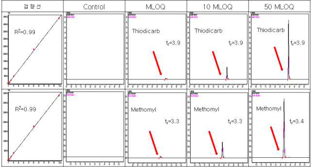 감귤-Thiodicarb 및 methomyl 크로마토그램 (무처리, LOQ, 10 LOQ, 50 LOQ)