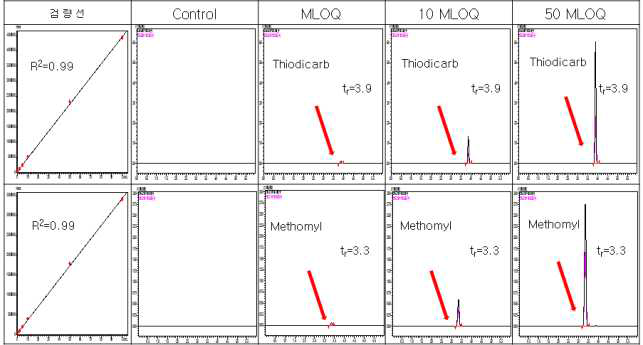 감자-Thiodicarb 및 methomyl 크로마토그램 (무처리, LOQ, 10 LOQ, 50 LOQ)