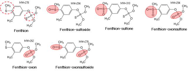 모화합물(Fenthion) 및 대사산물 구조