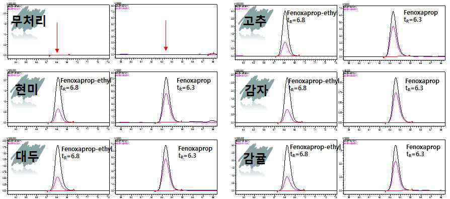 농산물 별 대표 크로마토그램