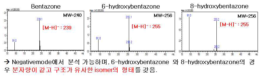 LC-MS/MS SCAN 스펙트럼