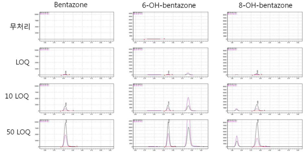 현미-Bentazone 크로마토그램 (무처리, LOQ, 10 LOQ, 50 LOQ)