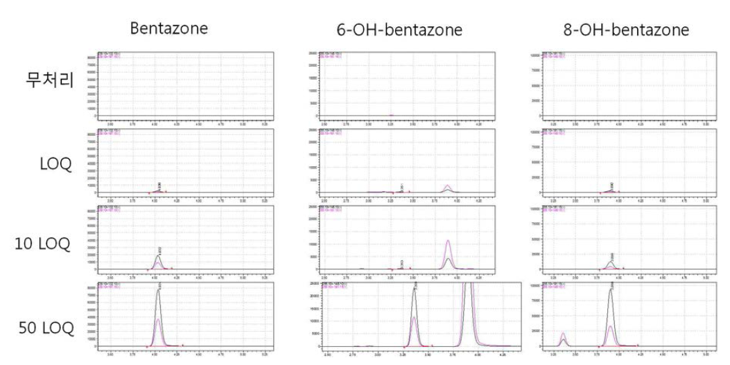 고추-Bentazone 크로마토그램 (무처리, LOQ, 10 LOQ, 50 LOQ)