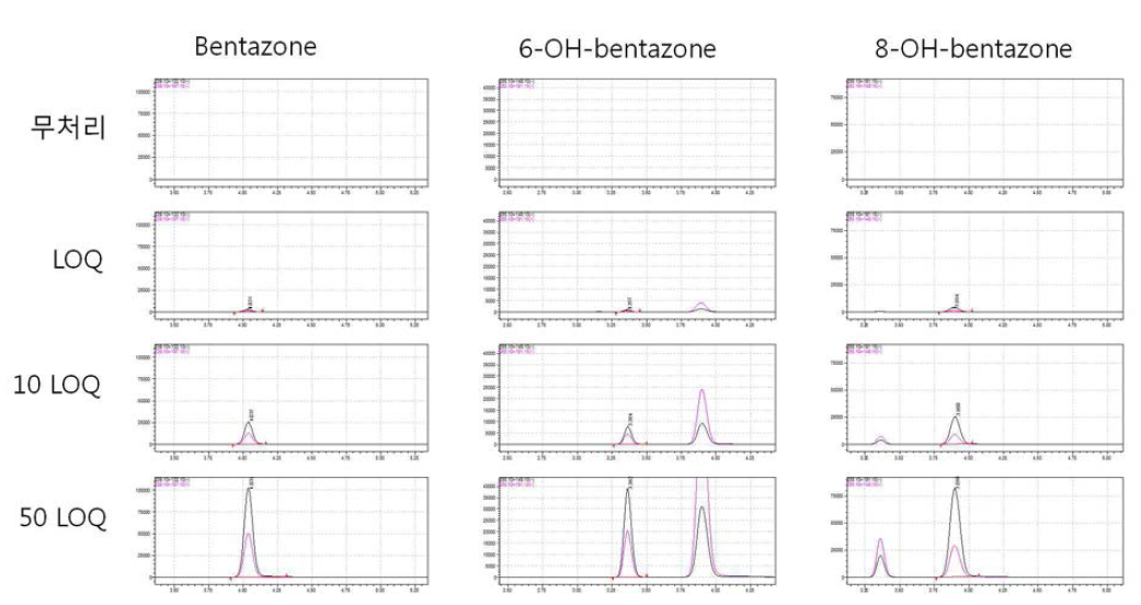 감귤-Bentazone 크로마토그램 (무처리, LOQ, 10 LOQ, 50 LOQ)