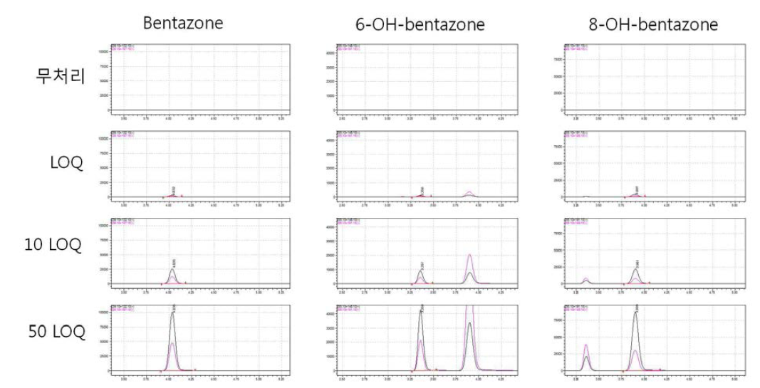 감자-Bentazone 크로마토그램 (무처리, LOQ, 10 LOQ, 50 LOQ)